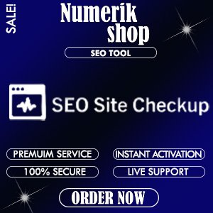 Seo site checkups