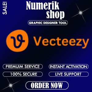Veectzy