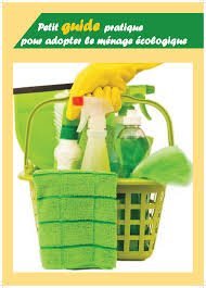 Petit guide pratique pour adopter le ménage écologique